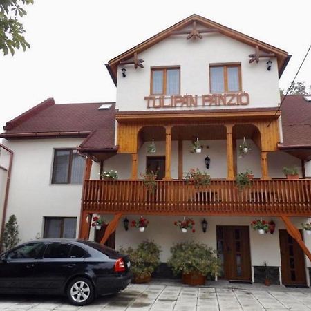 Tulipan Panzio Bed & Breakfast Sfantu Gheorghe  Exterior photo