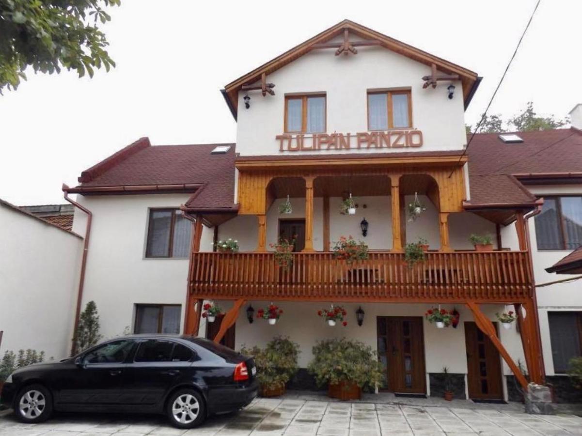 Tulipan Panzio Bed & Breakfast Sfantu Gheorghe  Exterior photo