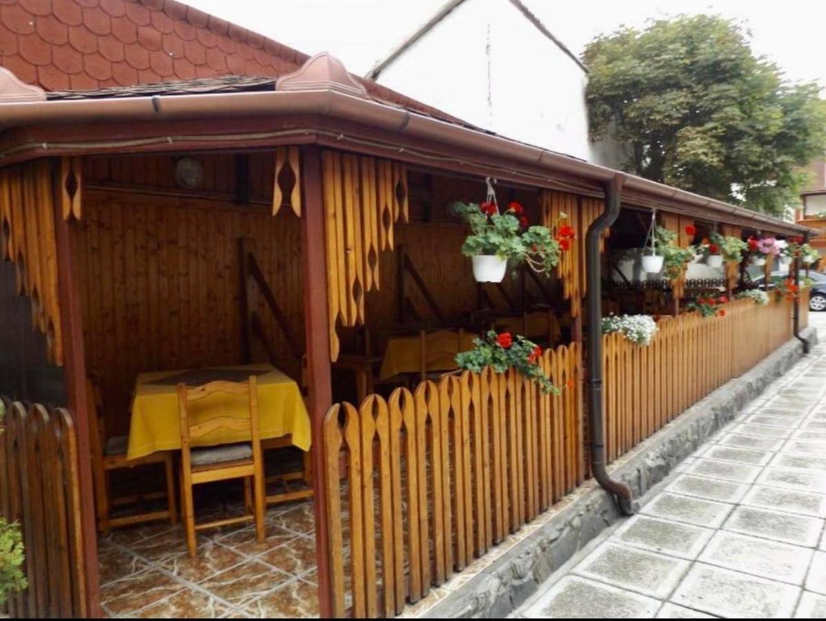 Tulipan Panzio Bed & Breakfast Sfantu Gheorghe  Exterior photo