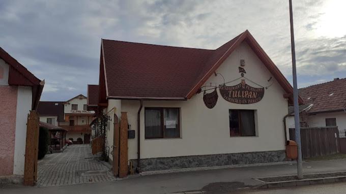 Tulipan Panzio Bed & Breakfast Sfantu Gheorghe  Exterior photo